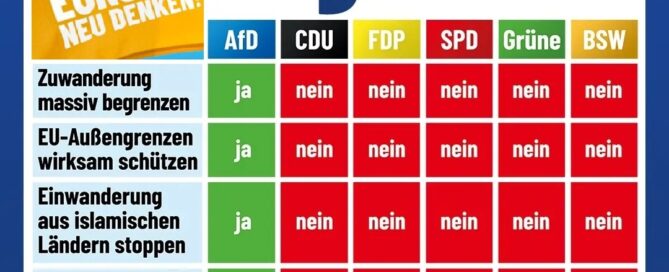 AfD Entscheidungshilfe Migration