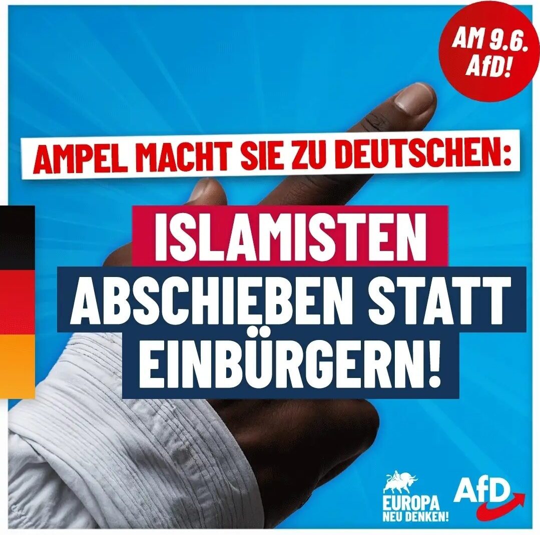 AfD Islamisten abschieben statt einbürgern