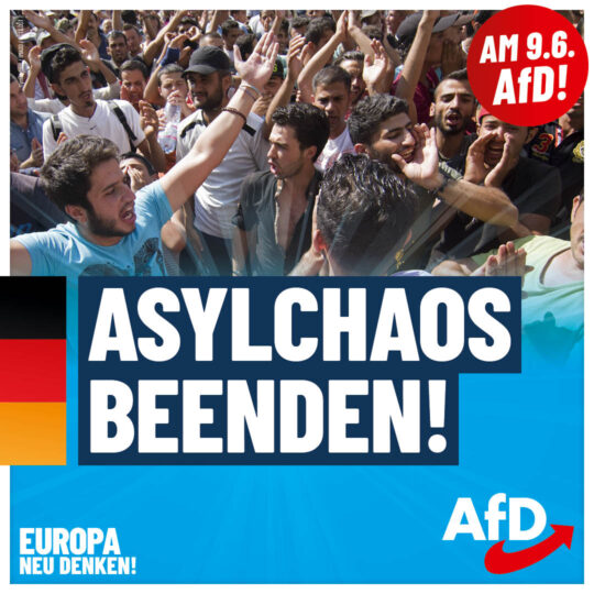 AfD EW2024 Plakate Asylchaos