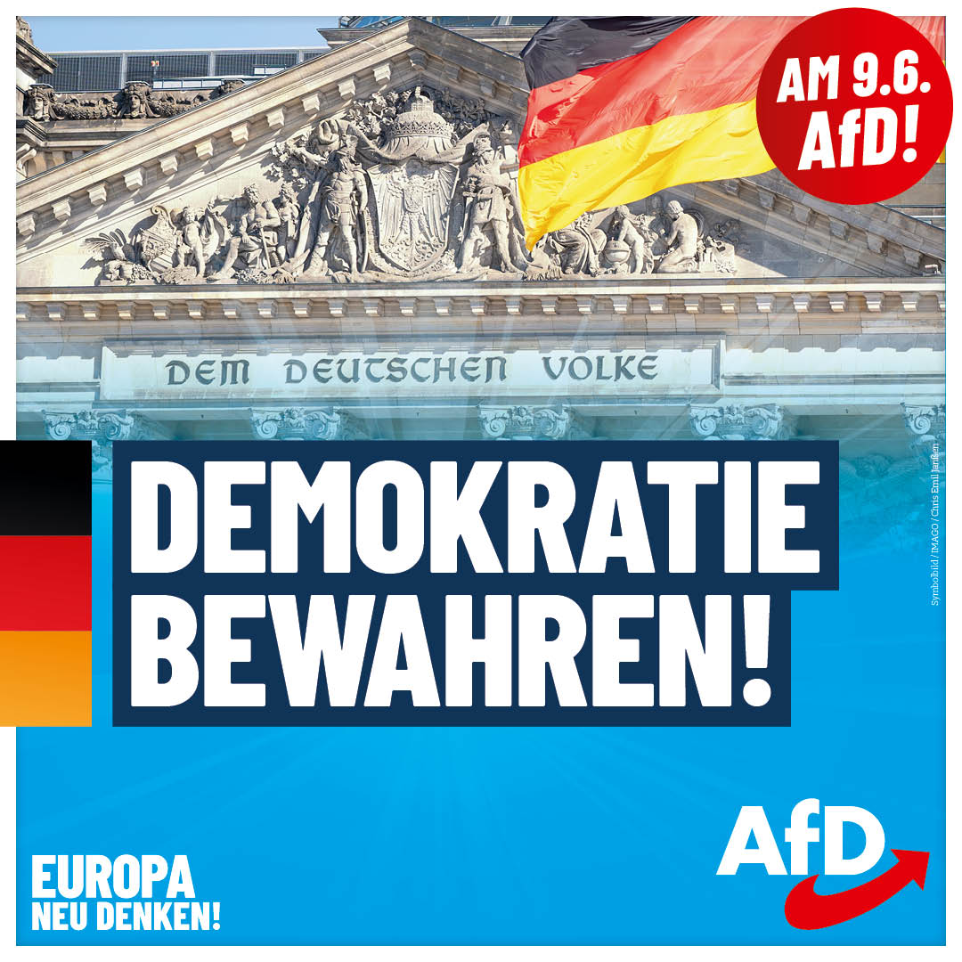 AfD EW2024 Plakate Demokratie