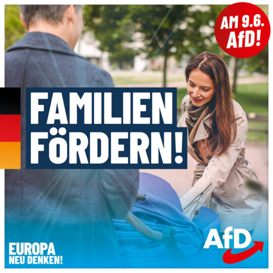 AfD EW2024 Plakate Familie