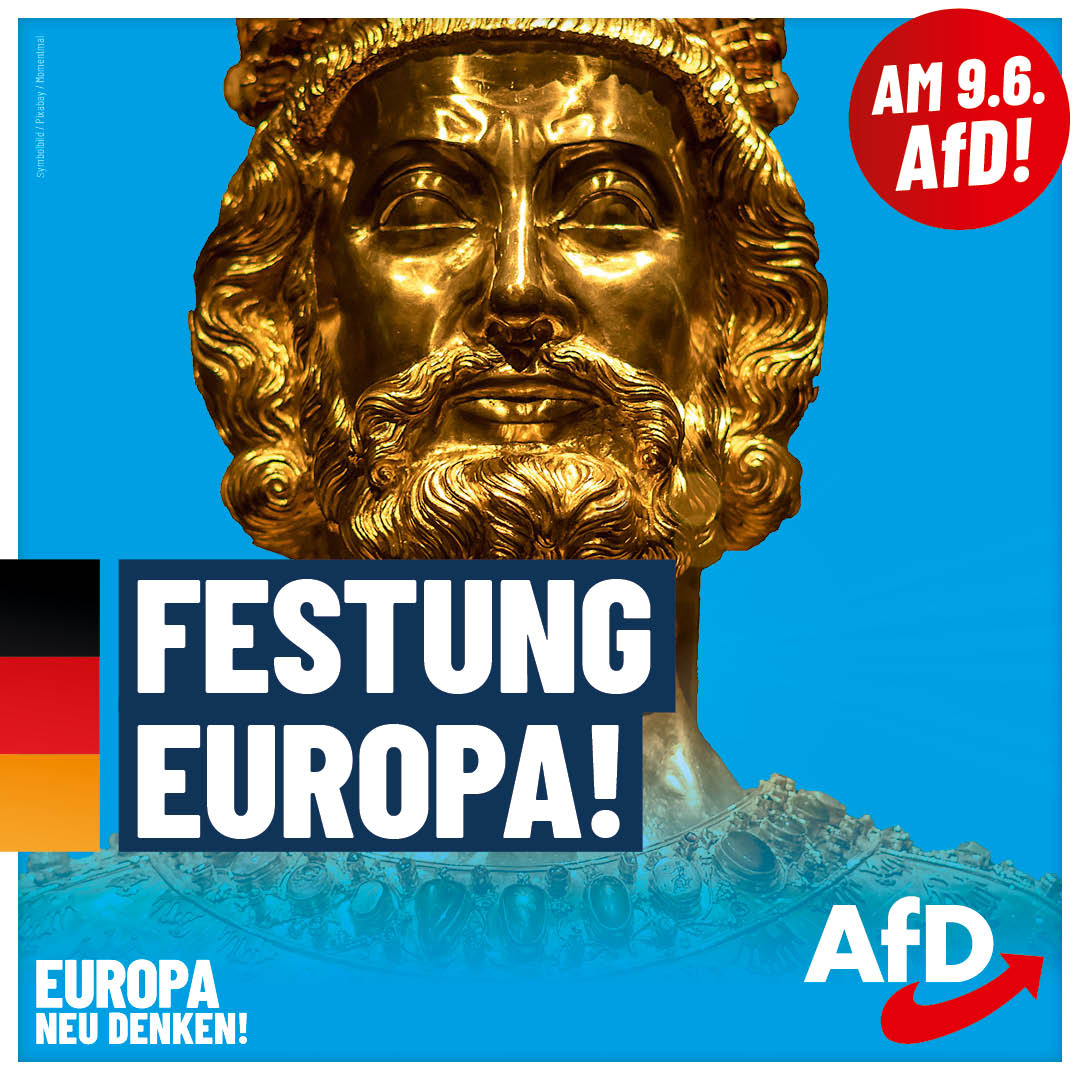 AfD EW2024 Plakate Festung