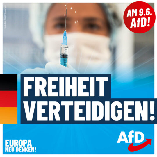 AfD EW2024 Plakate Freiheit