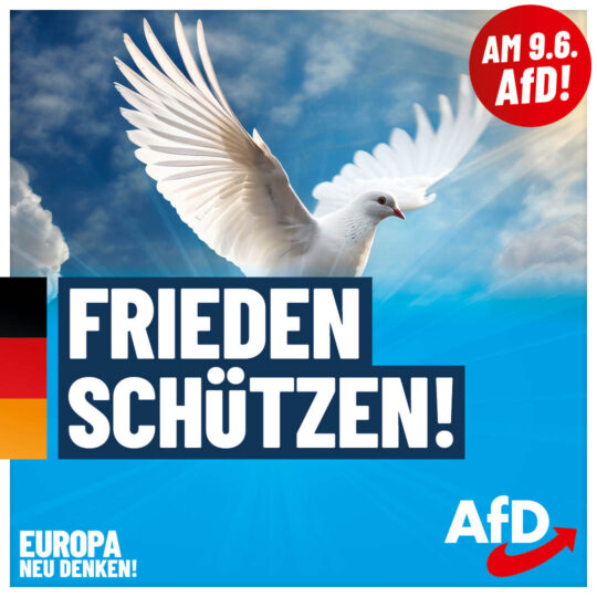 AfD EW2024 Plakate Frieden