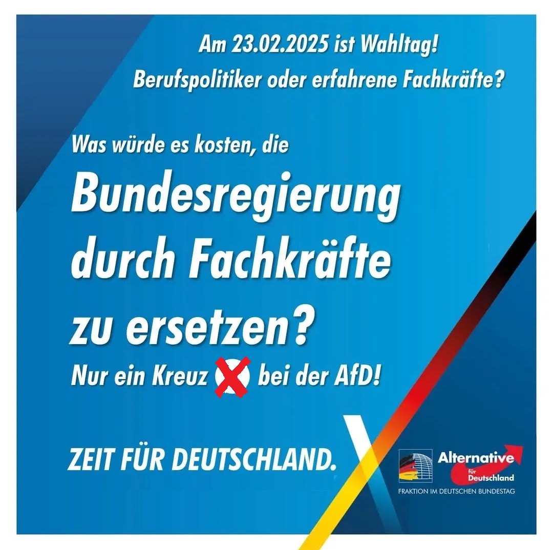 AfD_Fachräfte_ersetzt_Bundesregierung